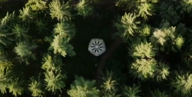 Flug aus dem Urwald vor den Toren der Stadt