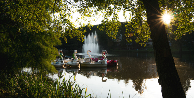 Deutsch-Französischer Garten