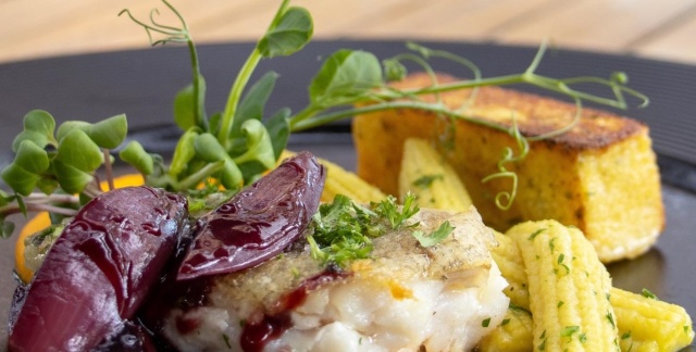 Bunter Hauptspeiseteller mit Fisch und Gemüse Bunter Hauptspeiseteller mit Fisch und Gemüse